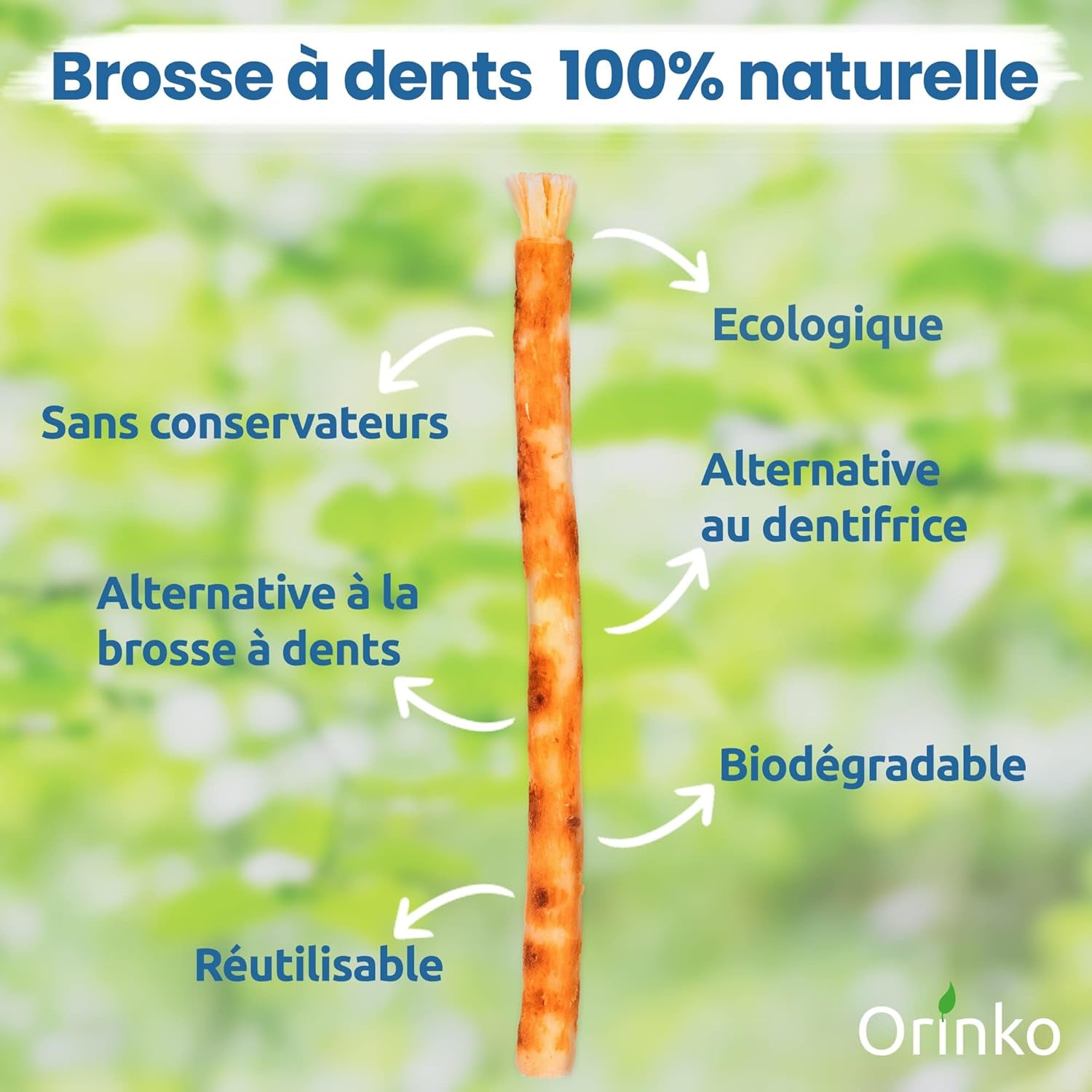 1 Bâton De Siwak Avec Étui De Protection – Brosse À Dents 100% Naturelle – Nettoyant, Désinfectant Et Blanchissant - Écologique, Biodégradable Et Végan – Ebook Offert